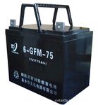 阀控式铅酸蓄电池6GFM-75 12V75Ah(10HR)