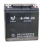 FM型6V、12V系列电池
