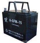 阀控式铅酸蓄电池6GFM-75 12V75Ah(10HR)